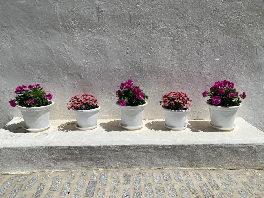 Casa Galeria La Retinta Villa Vejer de la Frontera Dış mekan fotoğraf