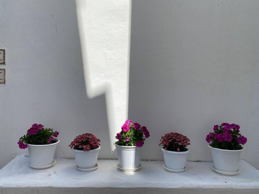 Casa Galeria La Retinta Villa Vejer de la Frontera Dış mekan fotoğraf